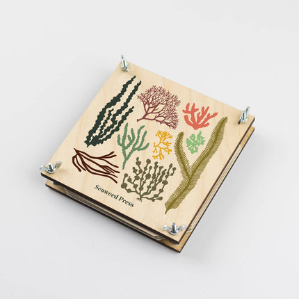 Seaweed Press Kit 15cm Wooden Flower and Seaweed Press, Made in United Kingdom