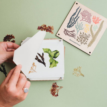 Seaweed Press Kit – Coastal Foraging & Craft Set | Studio Wald | Flower Press Kit | WSEAFP | AllotMate Essentials