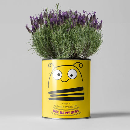 Big Bee Happiness Grow Kit – Pollinator-Friendly Plant Gift | The Plant Gift Co.