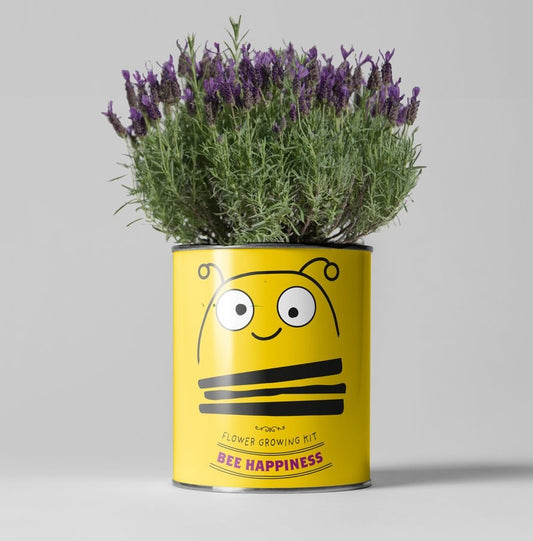 The Plant Gift Co. The Plant Gift Co. - Big Bee Happiness Eco Plant Grow Kit - Plant Growing Kit - The Online Garden Store - BIG - BEE - HPP - 