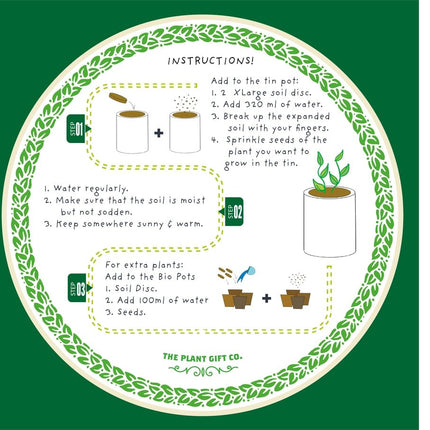 Big Bee Happiness Grow Kit – Pollinator - Friendly Plant Gift | The Plant Gift Co. | Plant Growing Kit | BIG - BEE - HPP | AllotMate Essentials