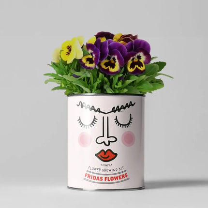 Easy Big Flowering Plant Kit – Eco Grow Your Own Gift | The Plant Gift Co.