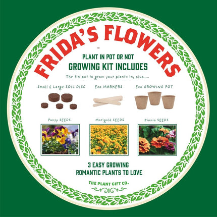 Easy Big Flowering Plant Kit – Eco Grow Your Own Gift | The Plant Gift Co. | Plant Growing Kit | starter small | AllotMate Essentials