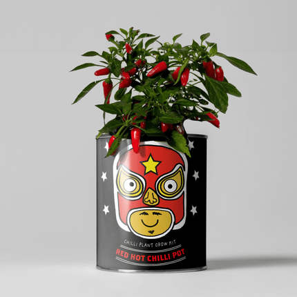 Hot Chilli Plant Grow Kit – Gift for Gardeners | The Plant Gift Co.