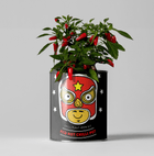 Hot Chilli Plant Grow Kit – Gift for Gardeners | The Plant Gift Co.