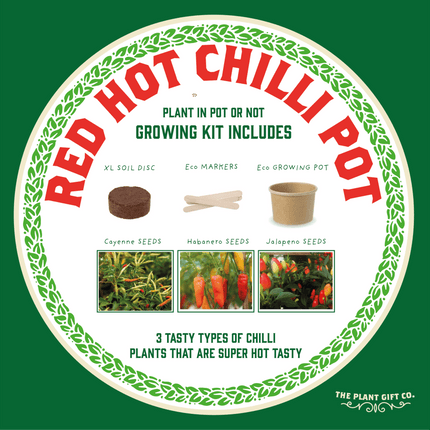 Hot Chilli Plant Grow Kit – Gift for Gardeners | The Plant Gift Co. | Plant Growing Kit | THEPLANTCO - HOTCHILLIPLANTS | AllotMate Essentials