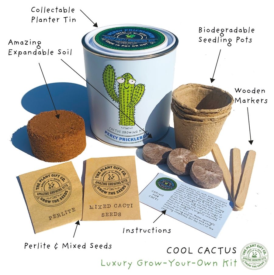 The Plant Gift Co. The Plant Gift Co. - Percy Pricklebum. Grow Your Own Cacti Kit - Plant Growing Kit - The Online Garden Store - PRC - PRC - 