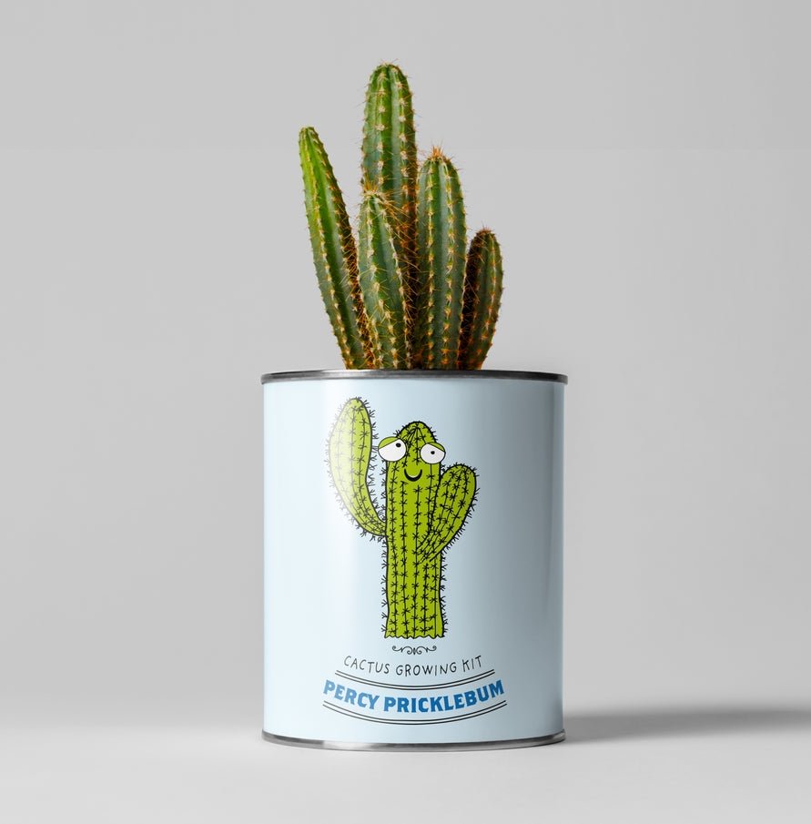 The Plant Gift Co. The Plant Gift Co. - Percy Pricklebum. Grow Your Own Cacti Kit - Plant Growing Kit - The Online Garden Store - PRC - PRC - 