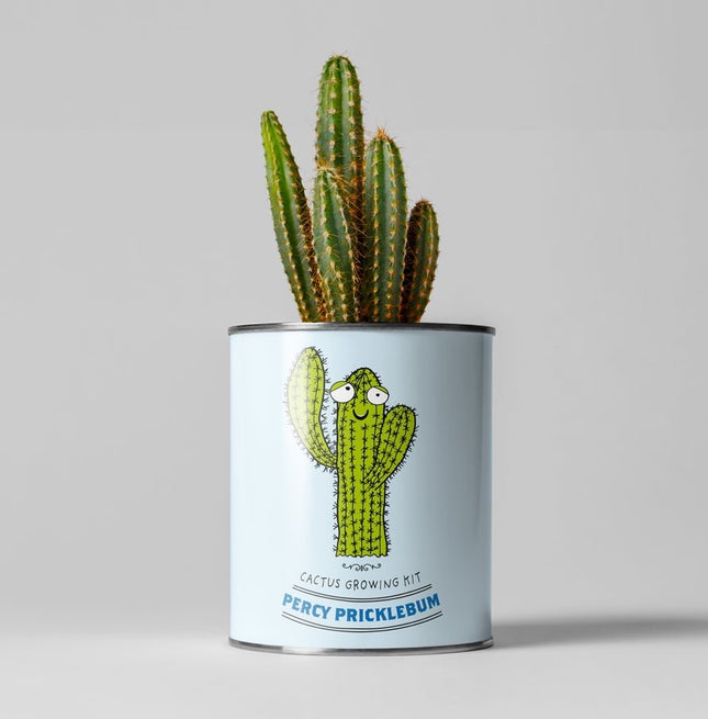 Percy Pricklebum Cactus Kit – Grow Your Own Gift for Plant Lovers | The Plant Gift Co.