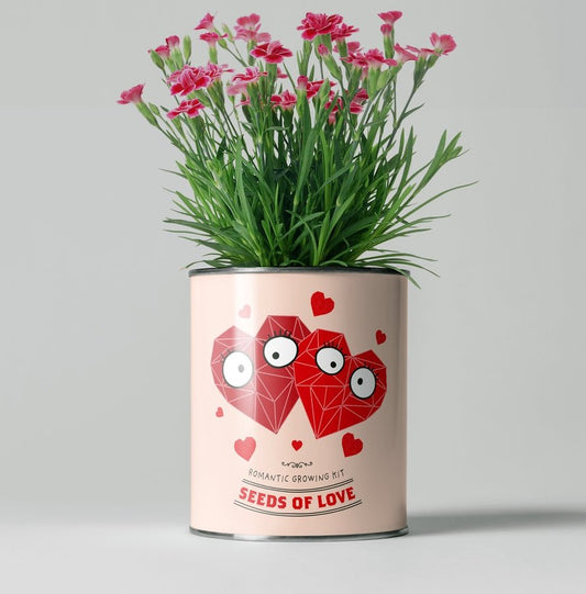 The Plant Gift Co. The Plant Gift Co. - Seeds of Love. Grow Your Own Plant Kit - Flower Plant Kit - The Online Garden Store - SDS - OF - LV - GRW - 