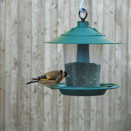 Lantern Bird Seed & Nut Feeder – Hanging Feeder for Wild Birds | Garland