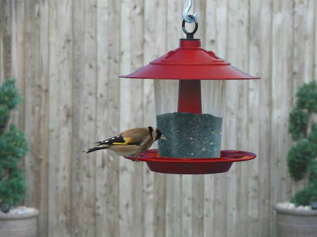 Lantern Bird Seed & Nut Feeder – Hanging Feeder for Wild Birds | Garland